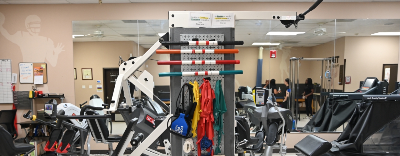 What-We-Treat-header-Terry-Physical-Therapy-Penitas-Mission-TX